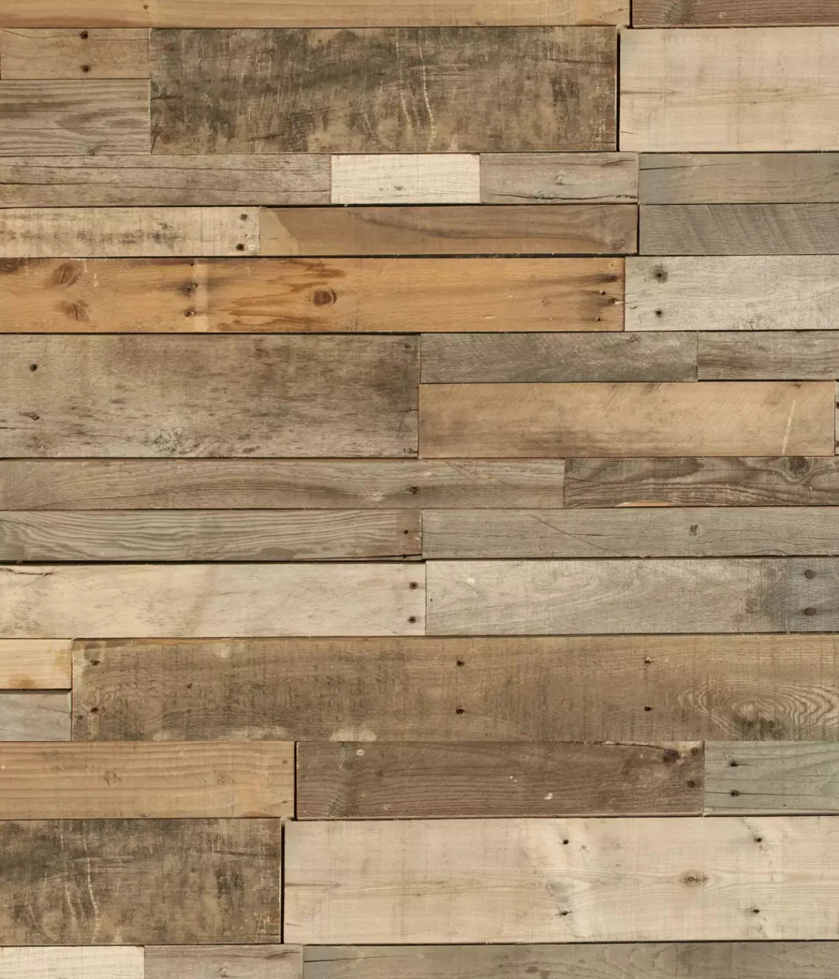 Tennessee Timber2 10X12 Ultracloth ( 120 X 144 Inch ) Backdrop