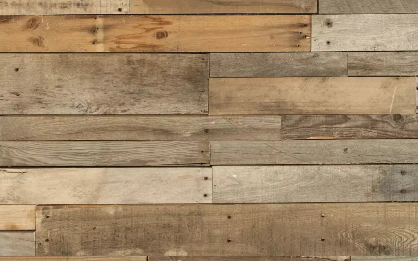Tennessee Timber2 14X9 Ultracloth ( 168 X 108 Inch ) Backdrop