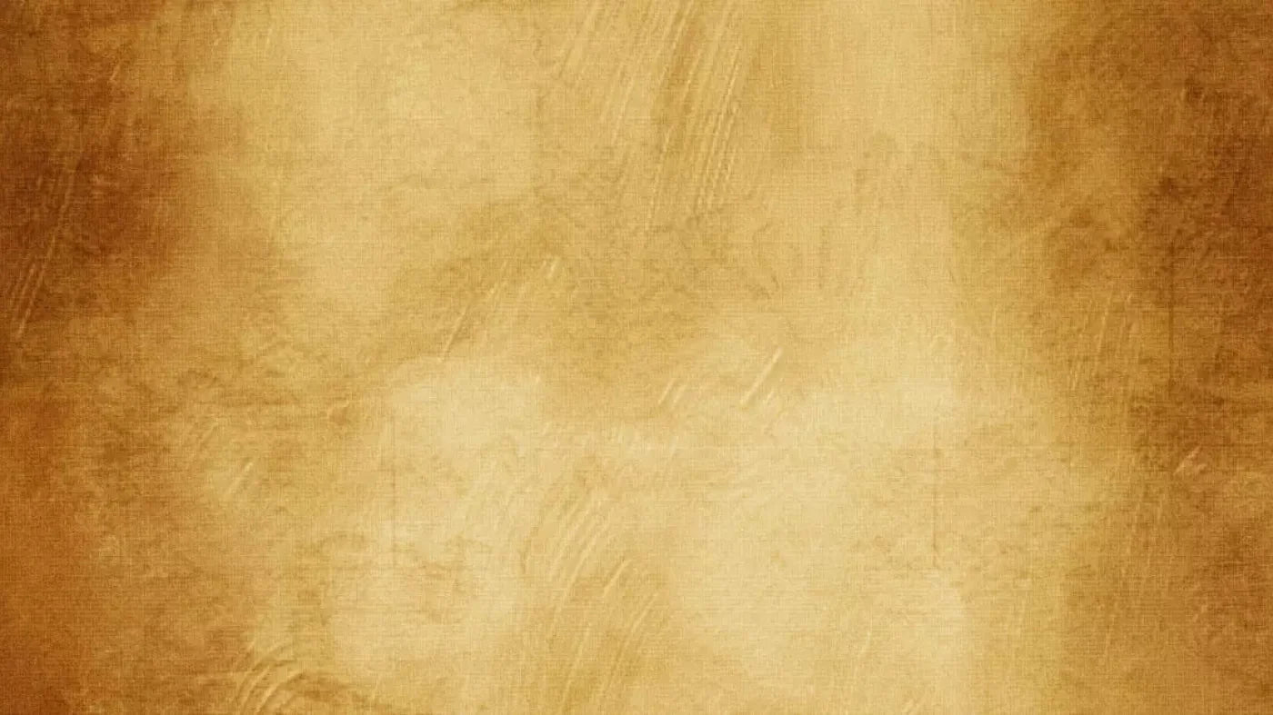 Terra Cotta 14X8 Ultracloth ( 168 X 96 Inch ) Backdrop