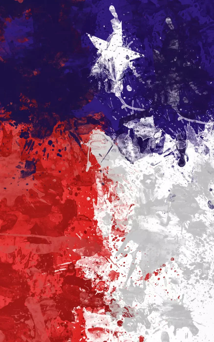 Texas 9’X14’ Ultracloth (108 X 168 Inch) Backdrop