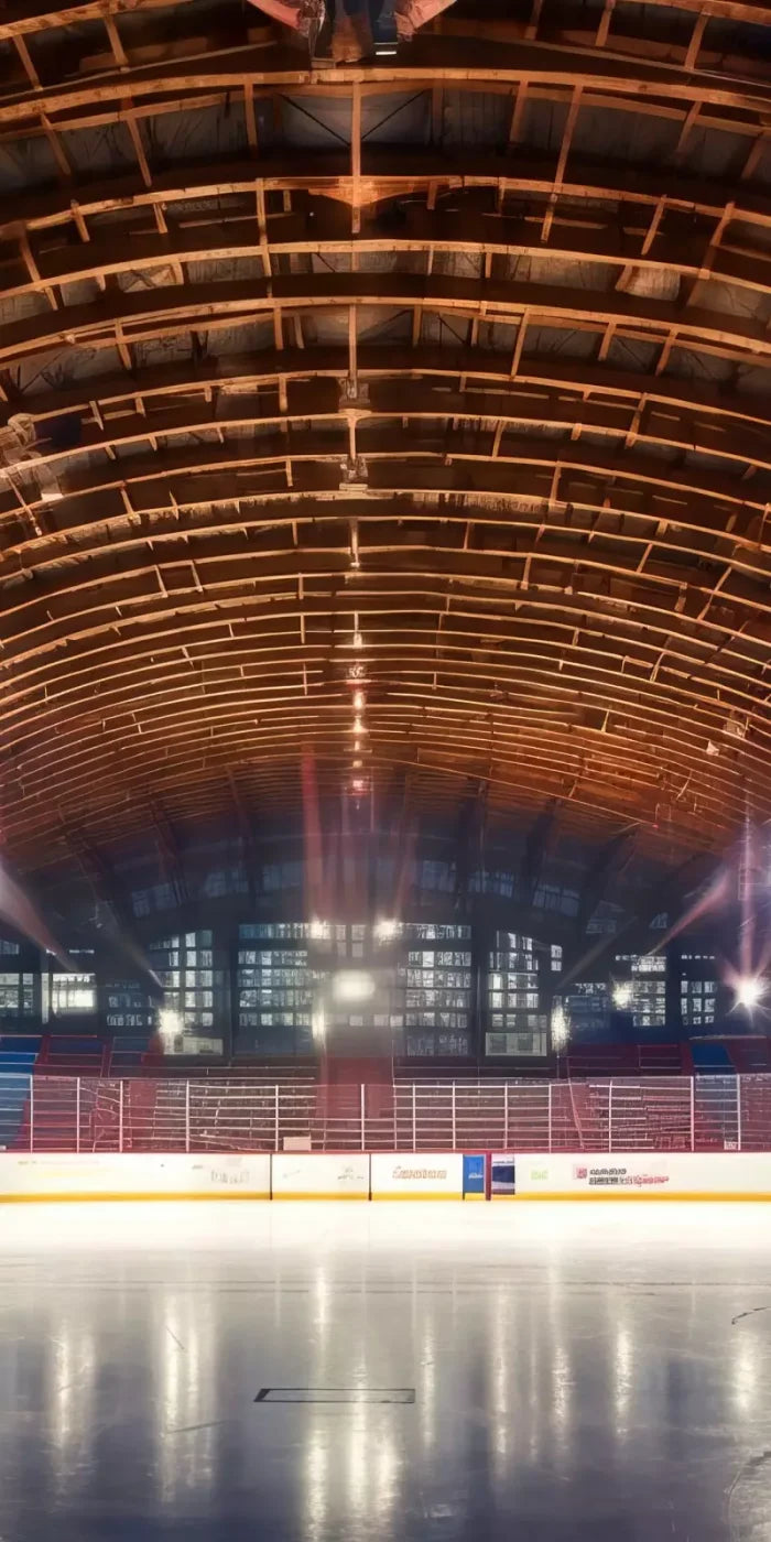 The Art Of Hockey Iii 10’X20’ Ultracloth (120 X 240 Inch) Backdrop