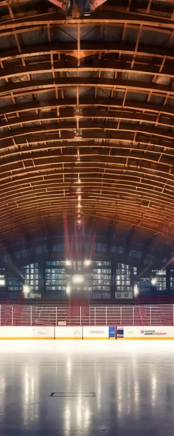 The Art Of Hockey Iii 8’X20’ Ultracloth (96 X 240 Inch) Backdrop