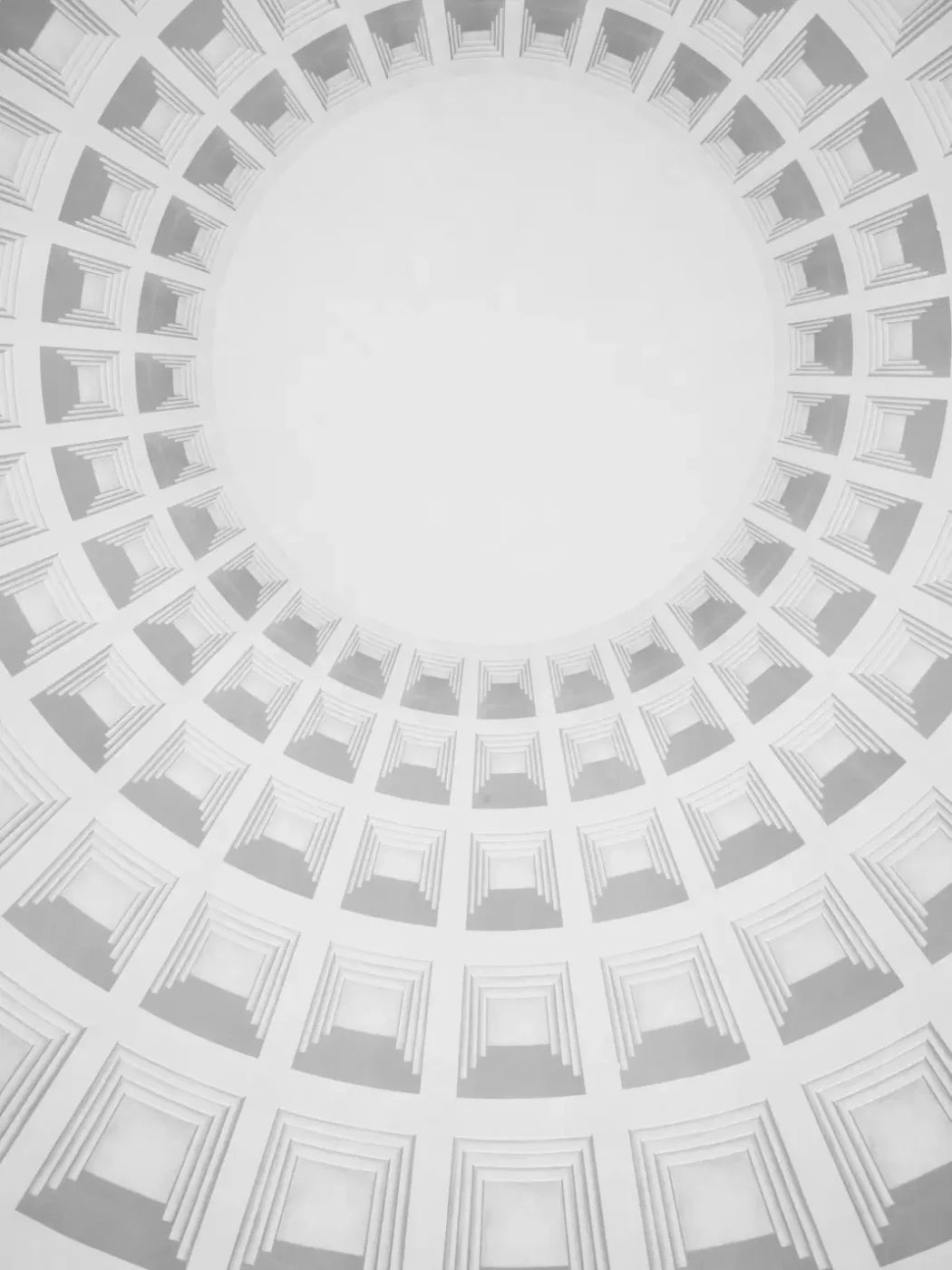 The Dome 5’X6’8’ Fleece (60 X 80 Inch) Backdrop