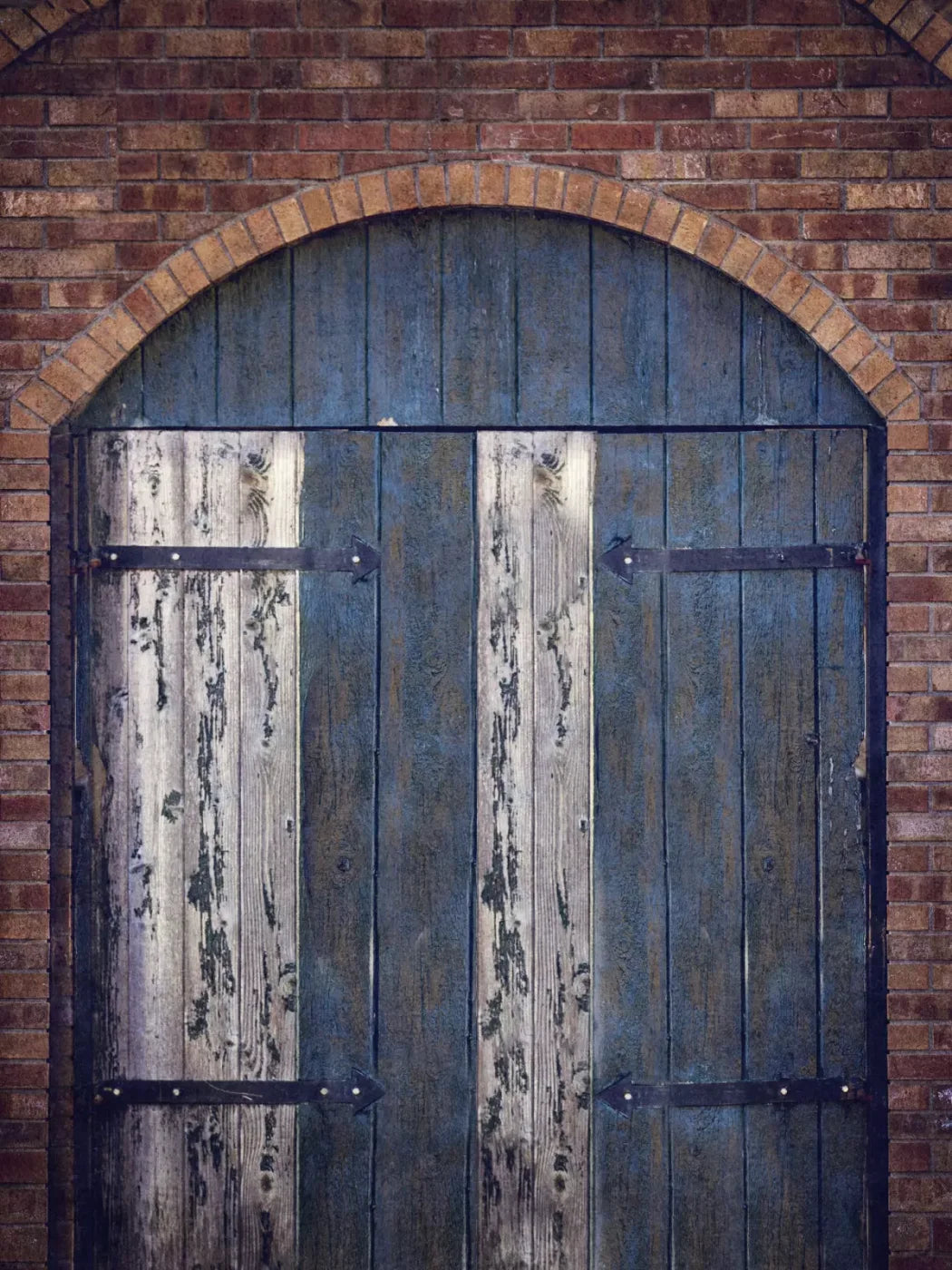 The Entrance 5’X6’8’ Fleece (60 X 80 Inch) Backdrop