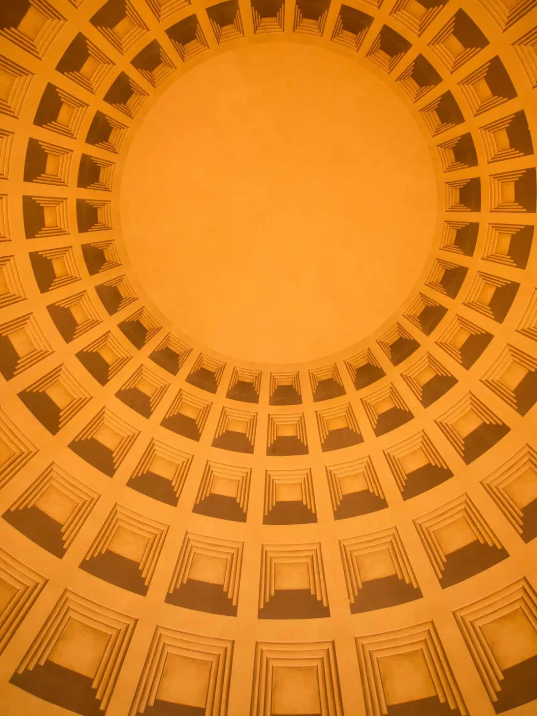 The Golden Dome 5X68 Fleece ( 60 X 80 Inch ) Backdrop