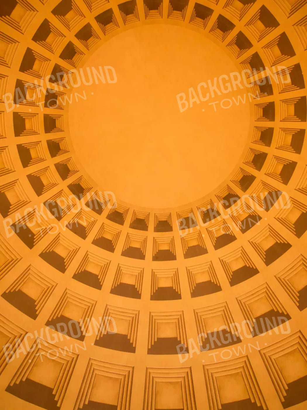 The Golden Dome 8X10 Fleece ( 96 X 120 Inch ) Backdrop