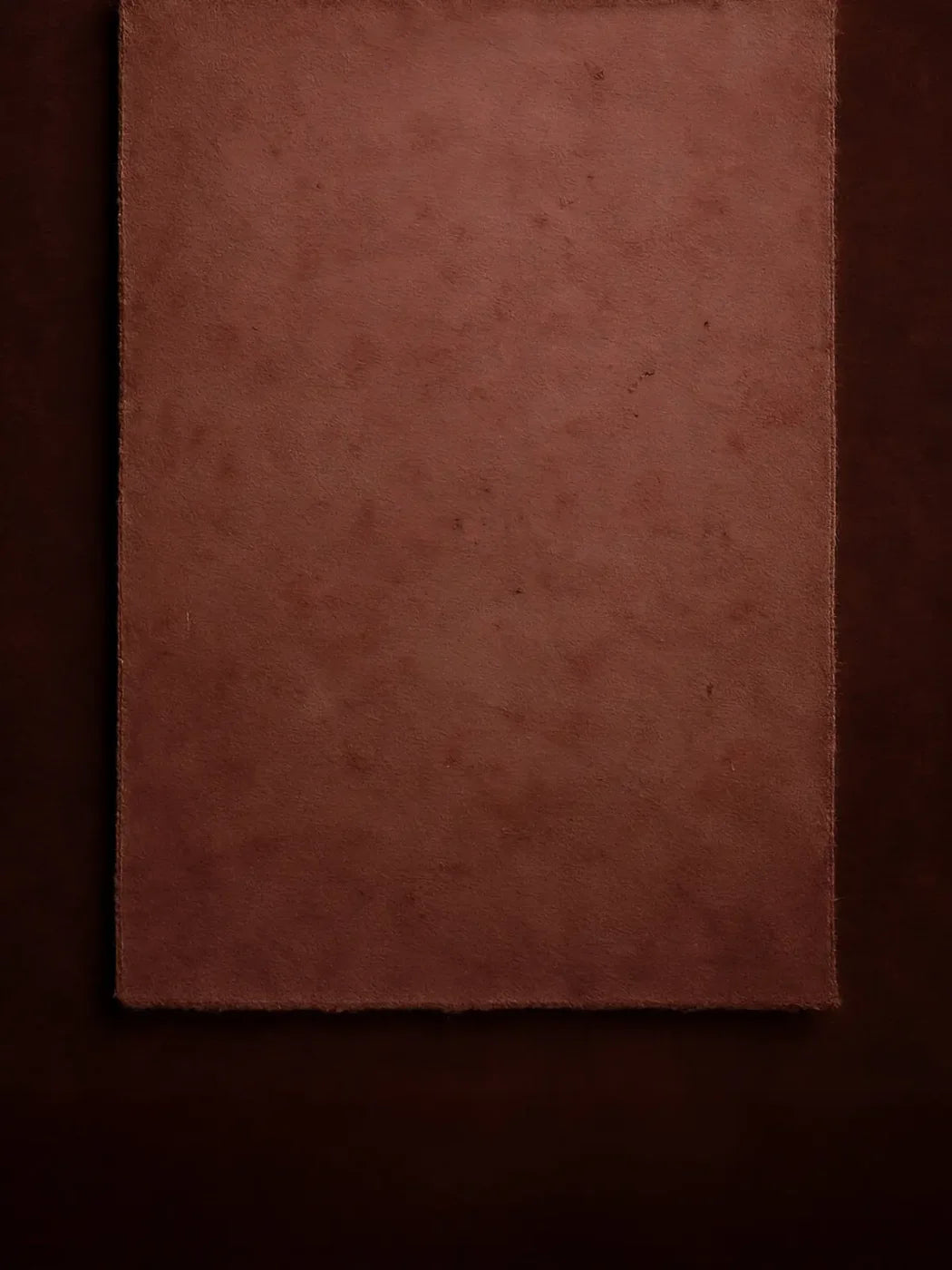 The Layered Collection Merlot Dusty Rose 6’x8’ Fleece (72 x 96 inch) Backdrop