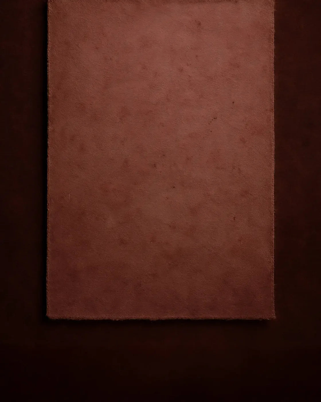 The Layered Collection Merlot Dusty Rose 8’x10’ Fleece (96 x 120 inch) Backdrop