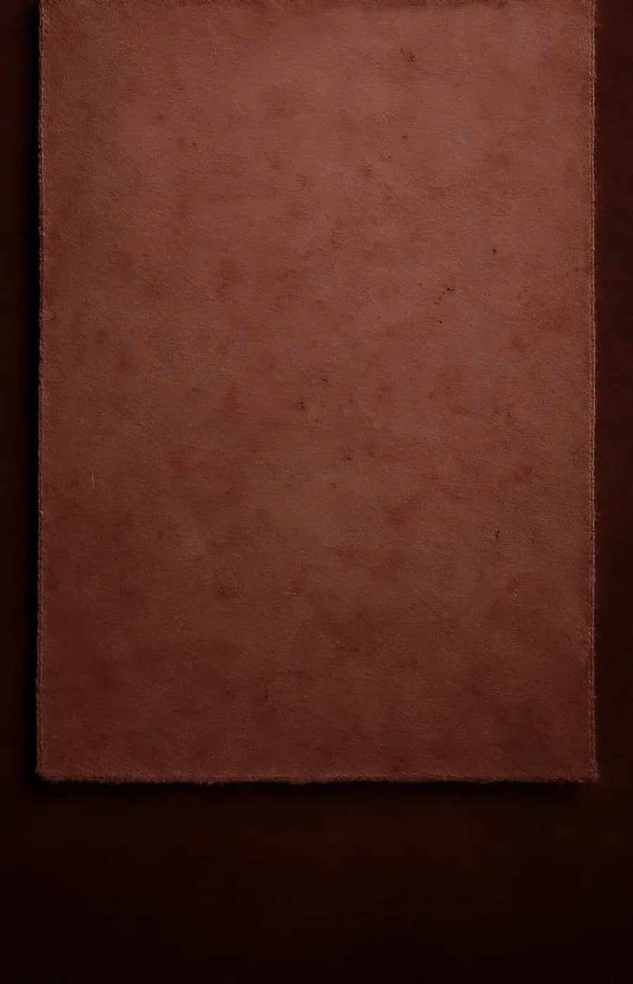 The Layered Collection Merlot Dusty Rose Backdrop