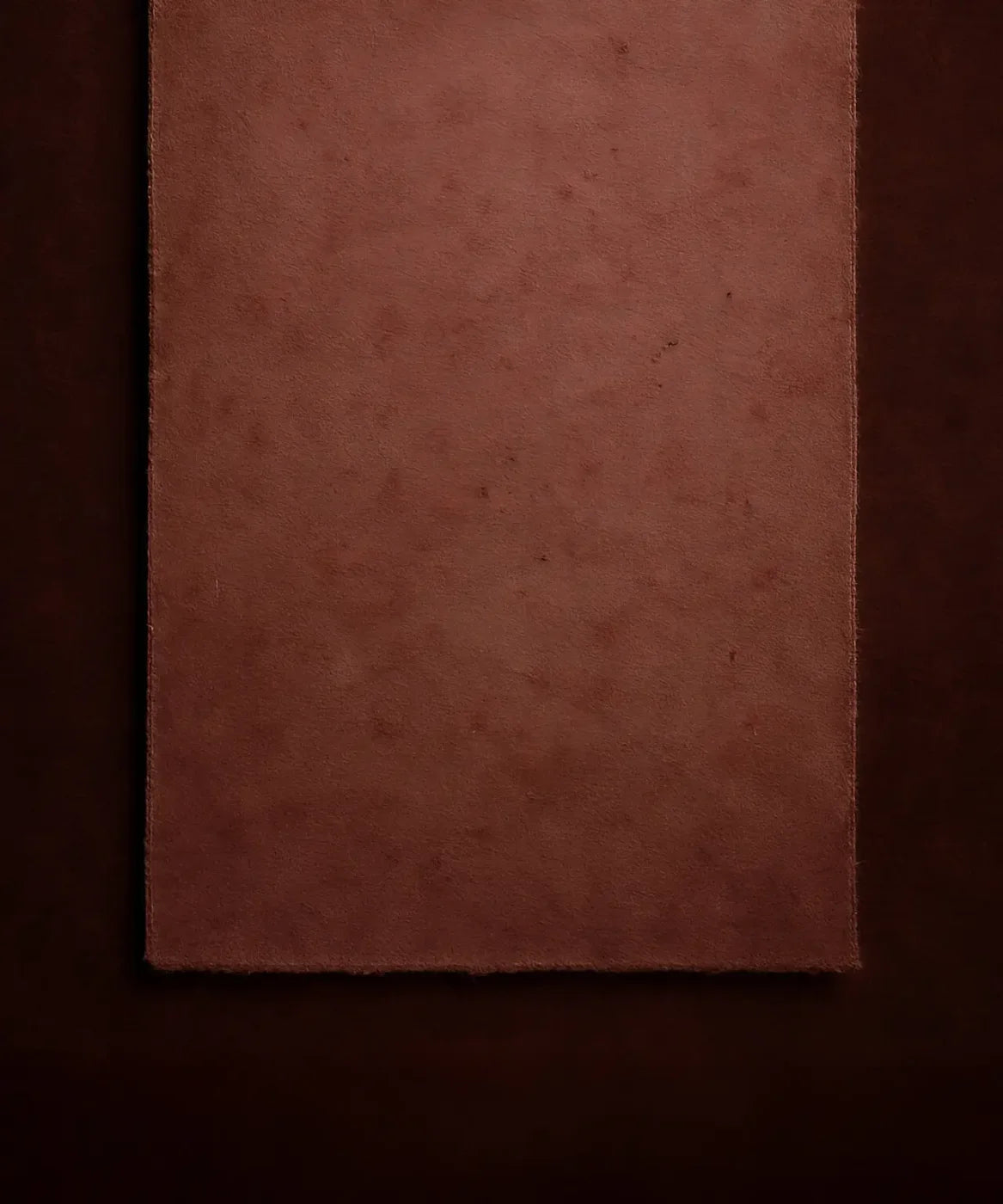 The Layered Collection Merlot Dusty Rose Backdrop