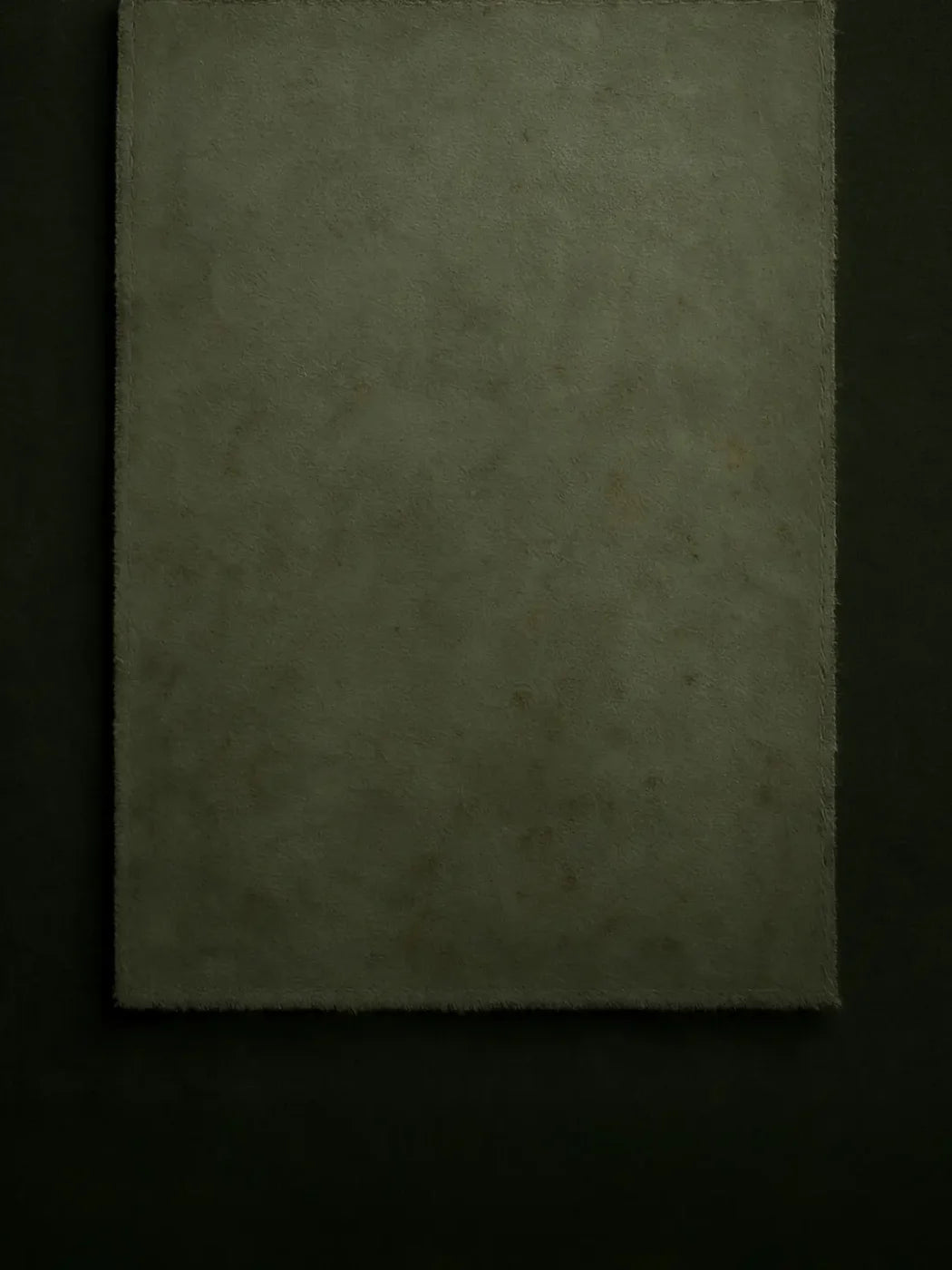 The Layered Collection Olive Black Sage 5’x6’8 Fleece (60 x 80 inch) Backdrop