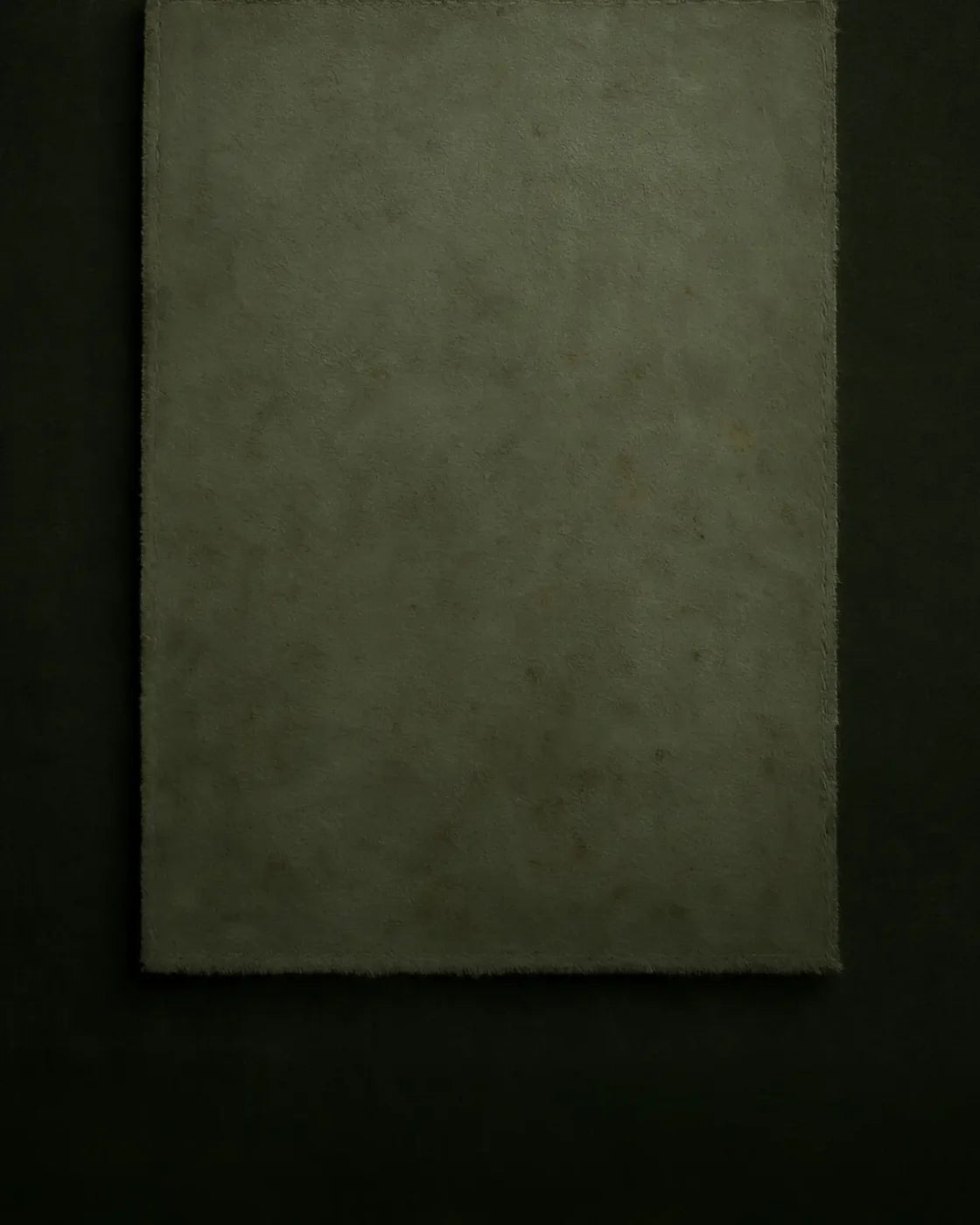 The Layered Collection Olive Black Sage 8’x10’ Fleece (96 x 120 inch) Backdrop