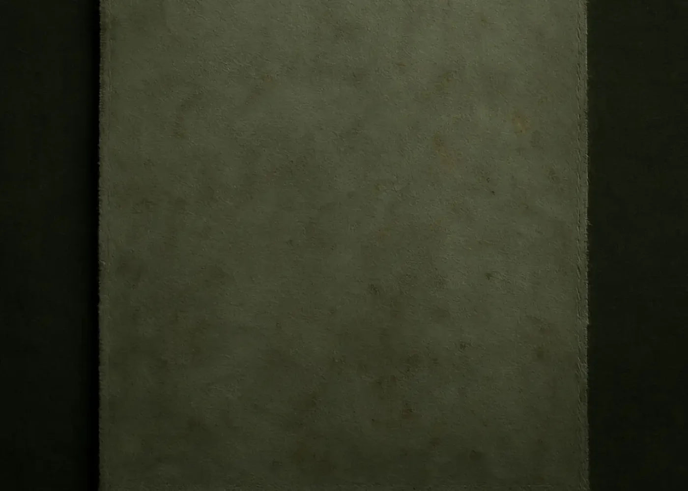 The Layered Collection Olive Black Sage Backdrop