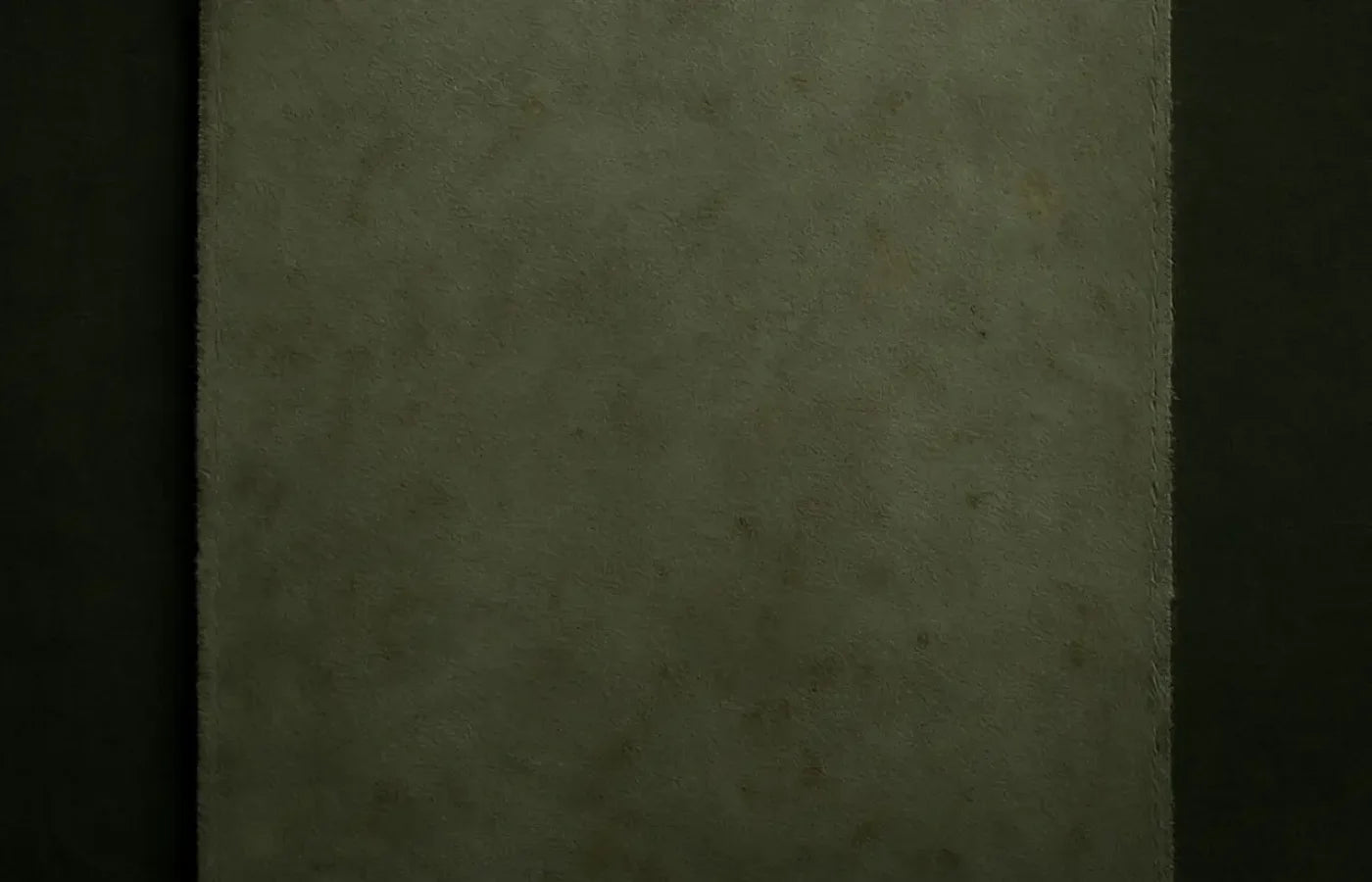 The Layered Collection Olive Black Sage Backdrop