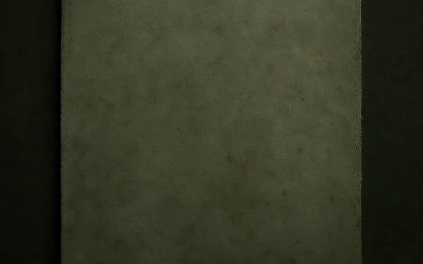 The Layered Collection Olive Black Sage Backdrop