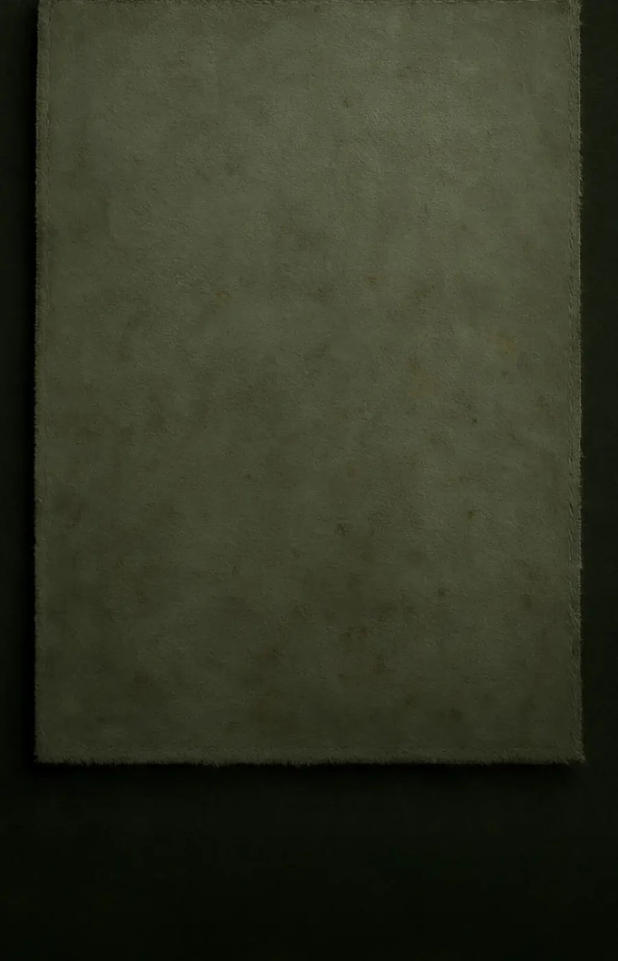 The Layered Collection Olive Black Sage Backdrop