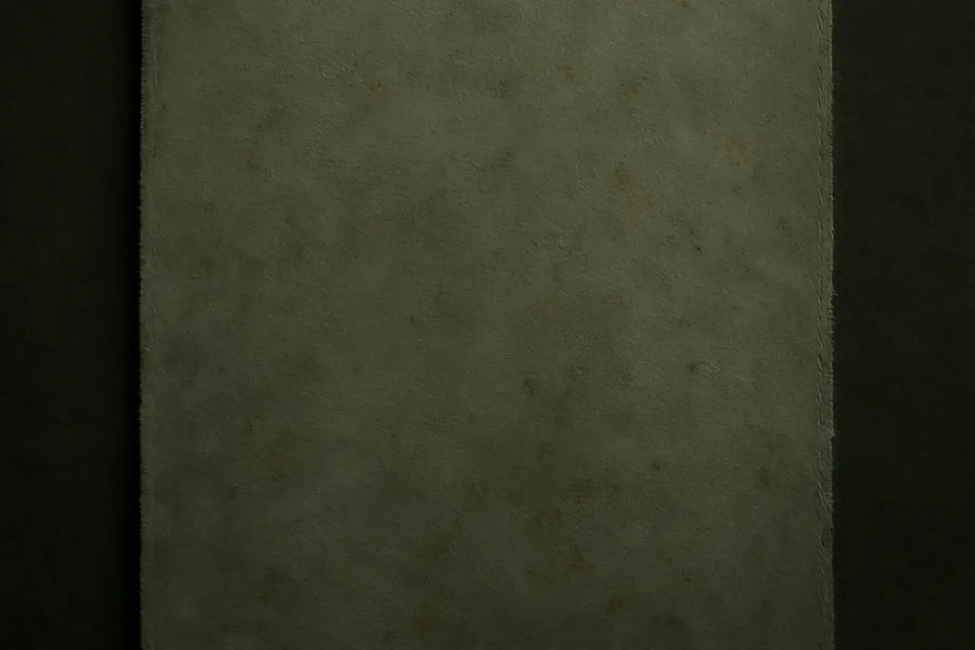 The Layered Collection Olive Black Sage Backdrop