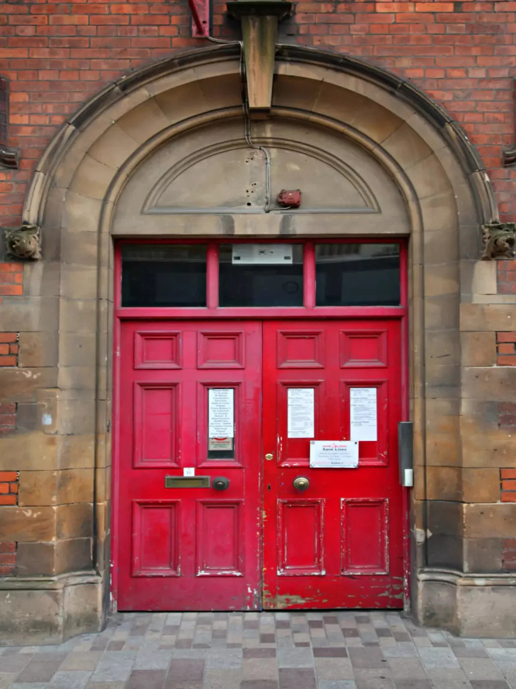 The Red Door 5X68 Fleece ( 60 X 80 Inch ) Backdrop