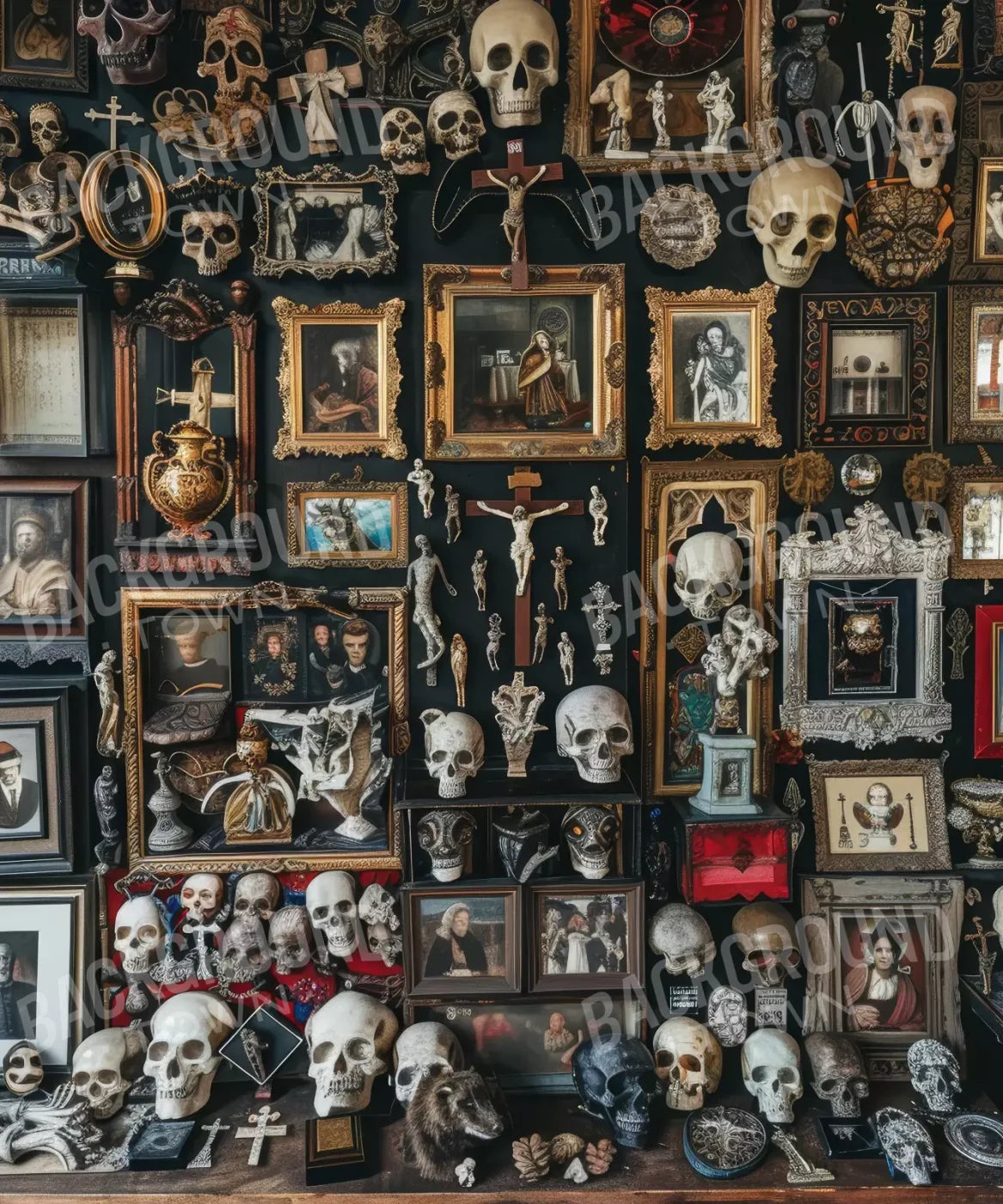 Skeleton , Black , White Backdrop for Photography