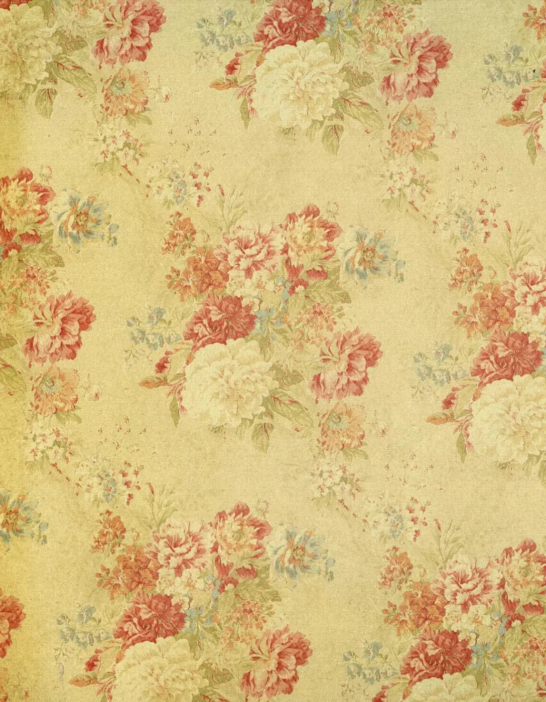 Thelma 6X8 Fleece ( 72 X 96 Inch ) Backdrop