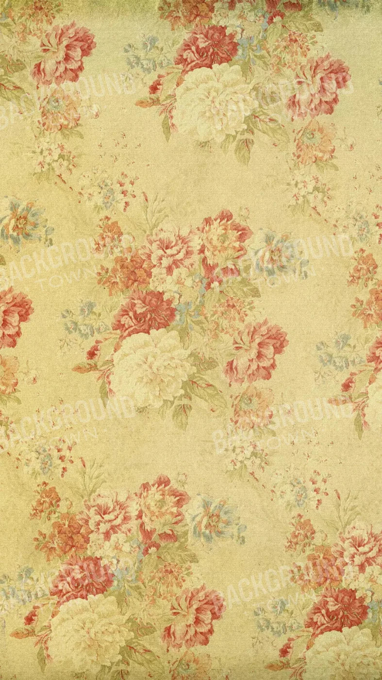 Thelma 8X14 Ultracloth ( 96 X 168 Inch ) Backdrop