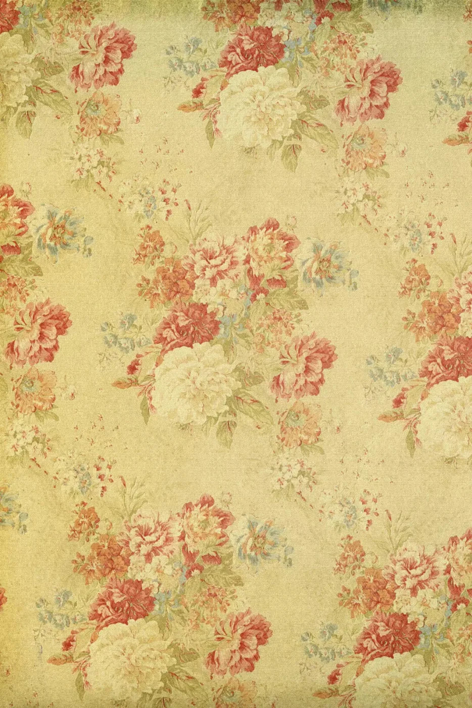 Thelma Backdrop