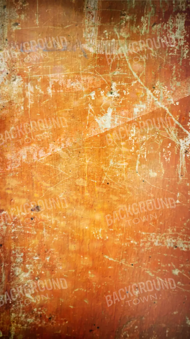 Through The Lens 8X14 Ultracloth ( 96 X 168 Inch ) Backdrop