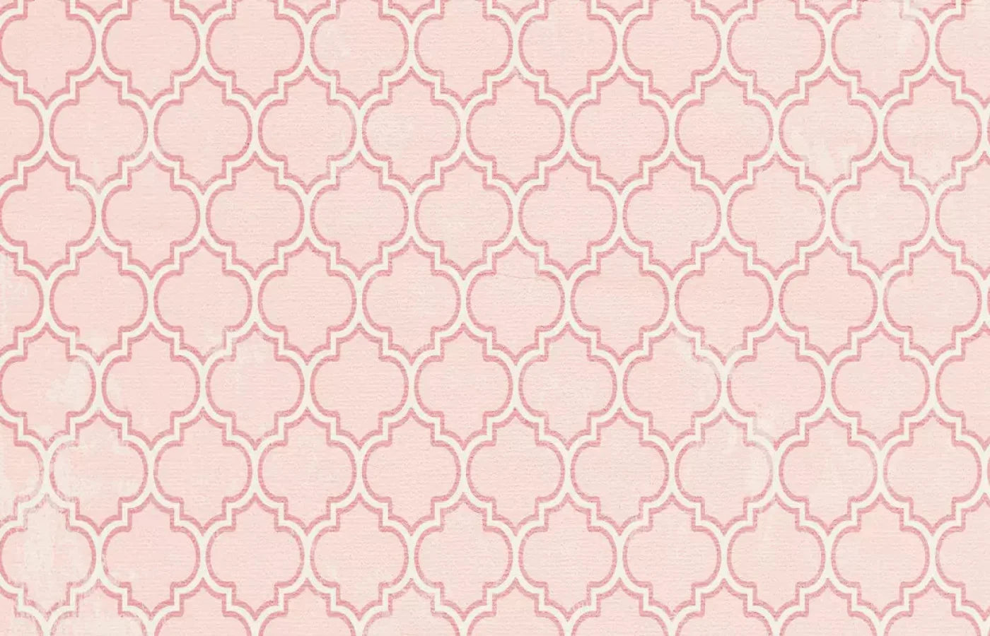 Tickled Pink 12X8 Ultracloth ( 144 X 96 Inch ) Backdrop
