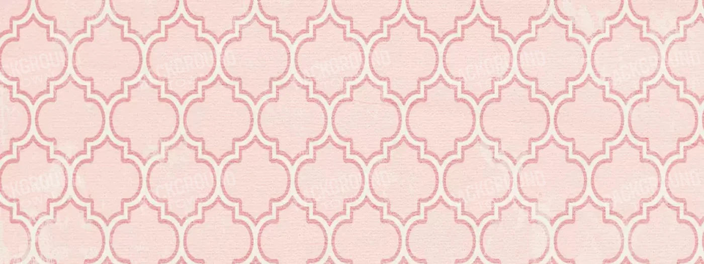 Tickled Pink 20X8 Ultracloth ( 240 X 96 Inch ) Backdrop