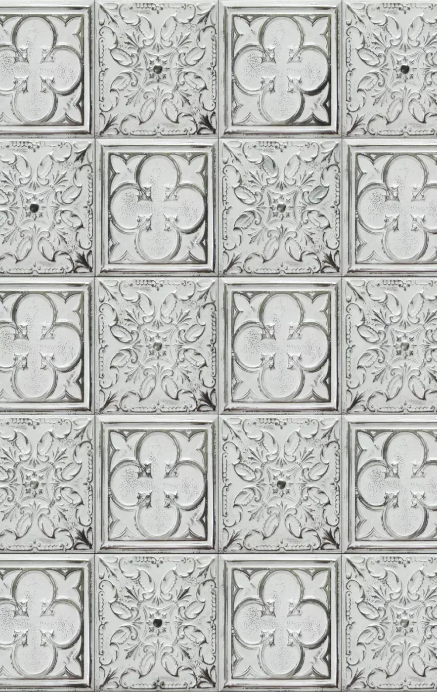 Tidy Whitey 10X16 Ultracloth ( 120 X 192 Inch ) Backdrop