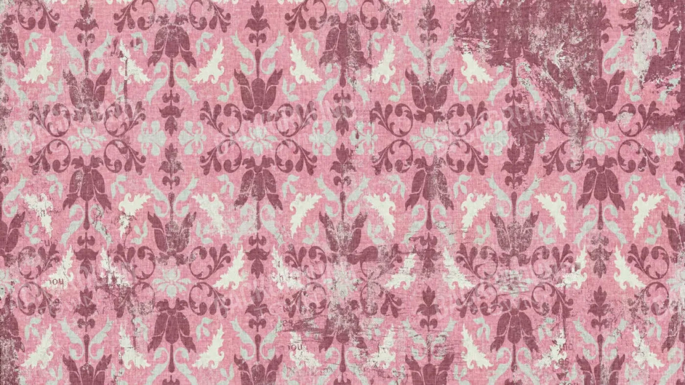 Tilly 14X8 Ultracloth ( 168 X 96 Inch ) Backdrop