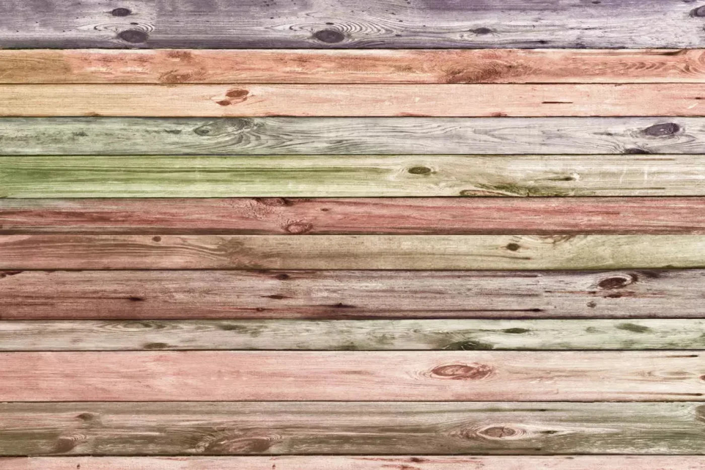 Timberland Backdrop