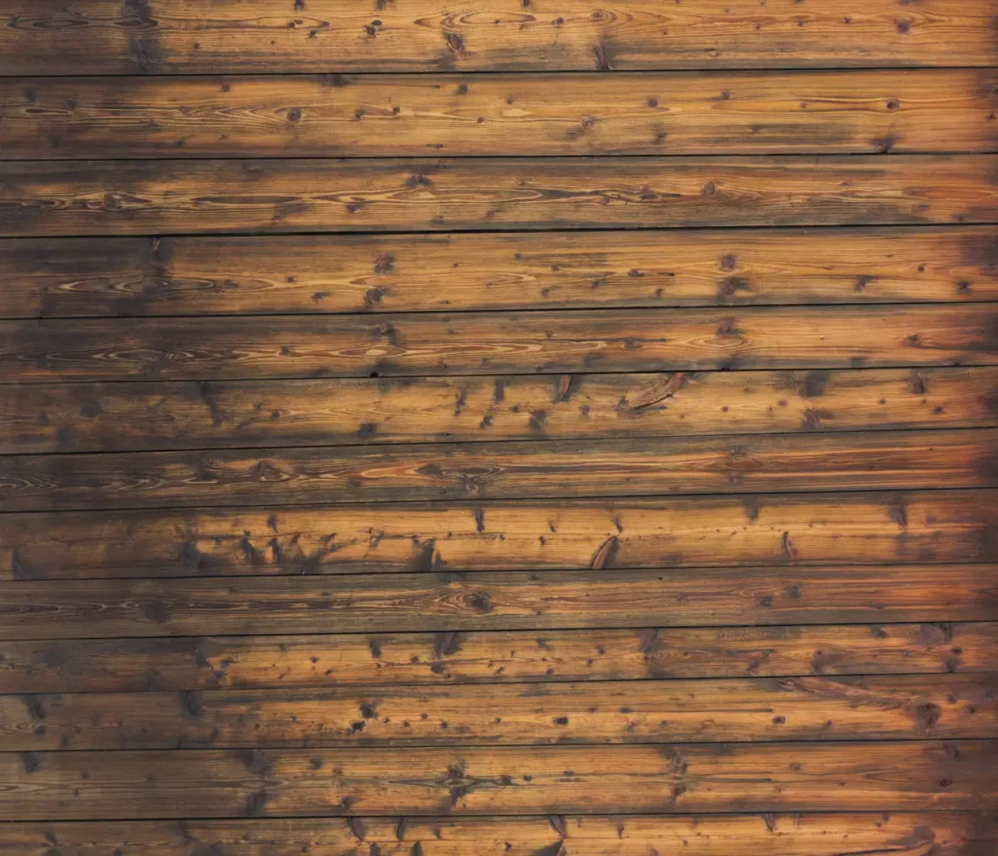 Timberline 12X10 Ultracloth ( 144 X 120 Inch ) Backdrop