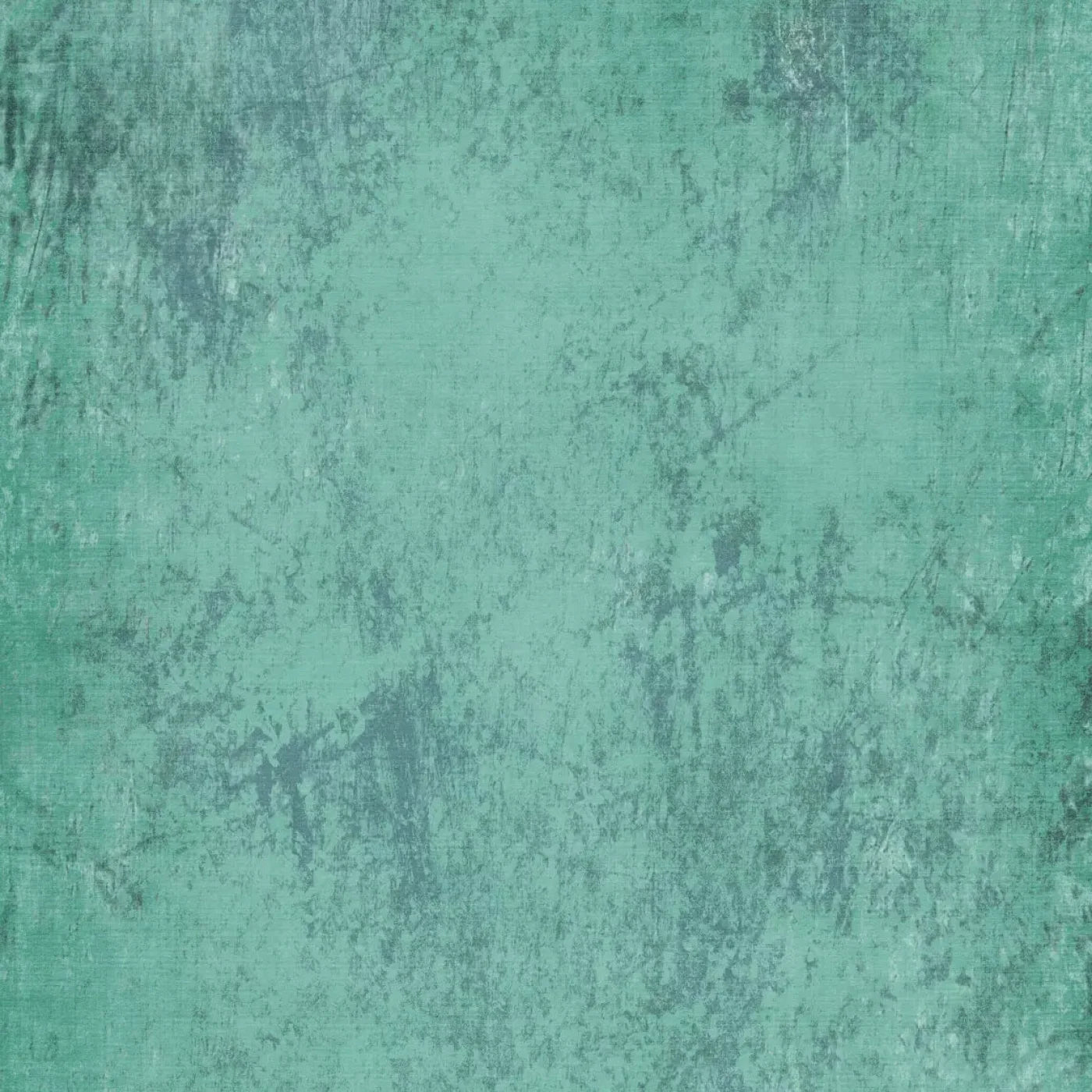 Timmy Backdrop