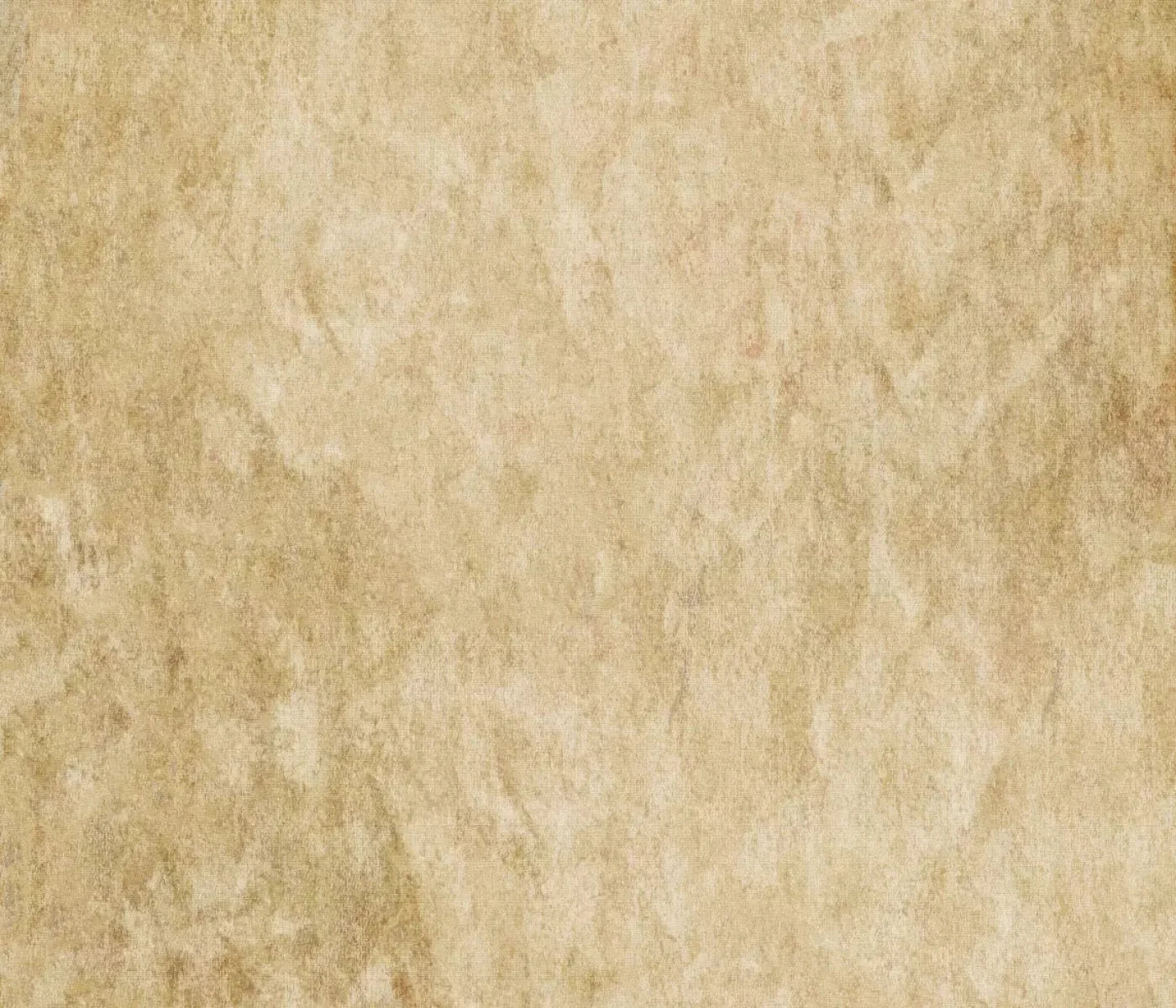 Toasty 12X10 Ultracloth ( 144 X 120 Inch ) Backdrop