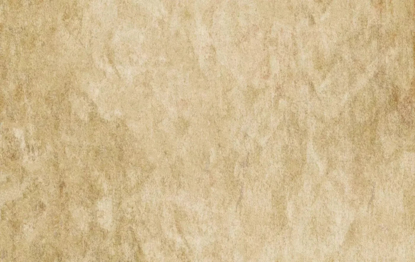 Toasty 16X10 Ultracloth ( 192 X 120 Inch ) Backdrop