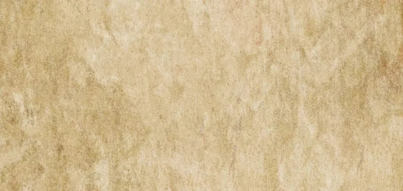 Toasty 16X8 Ultracloth ( 192 X 96 Inch ) Backdrop