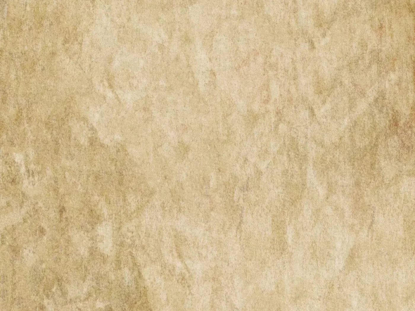 Toasty 68X5 Fleece ( 80 X 60 Inch ) Backdrop