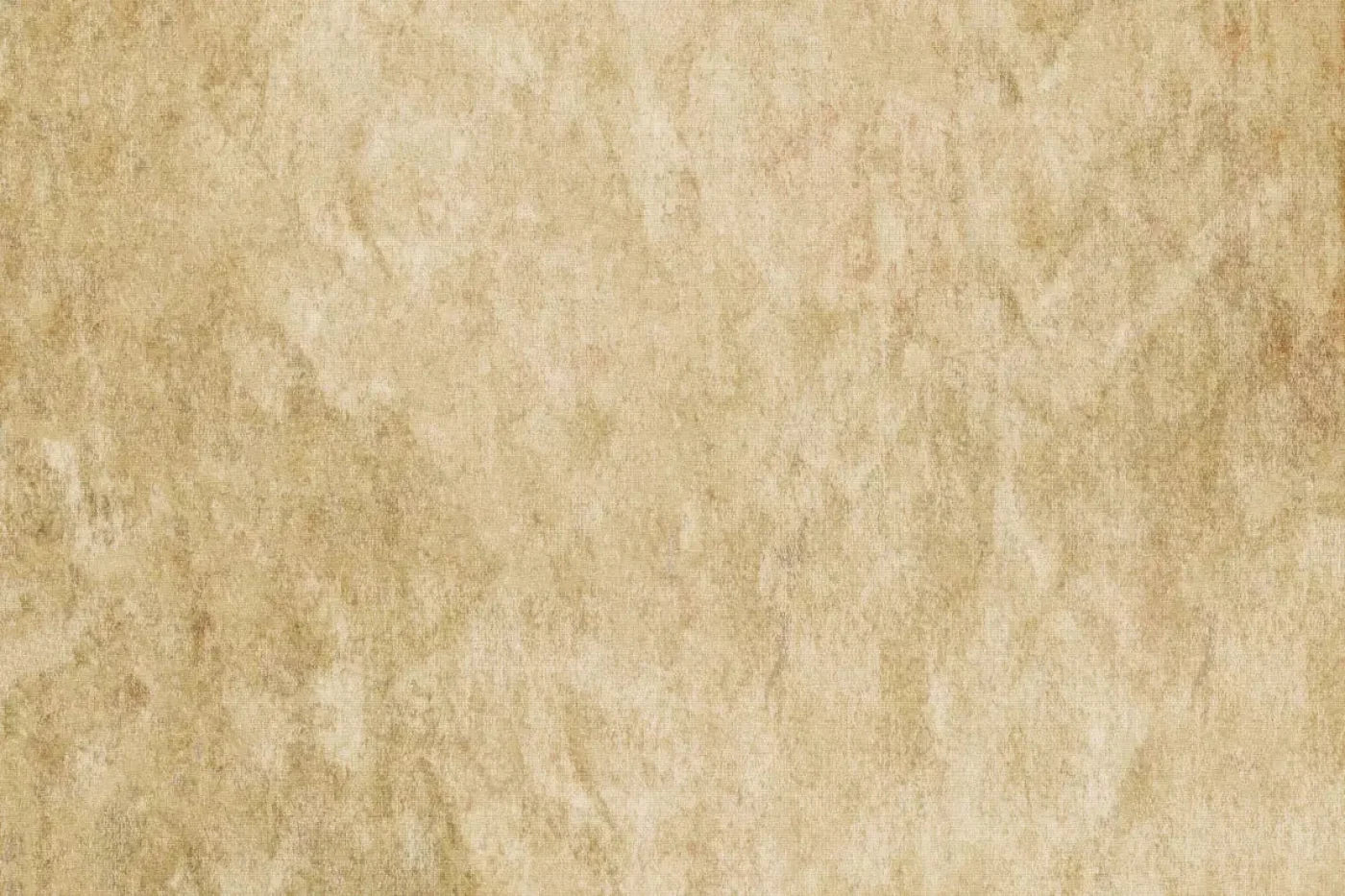 Toasty 8X5 Ultracloth ( 96 X 60 Inch ) Backdrop