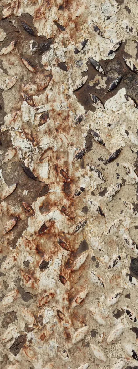 Tread 8X20 Ultracloth ( 96 X 240 Inch ) Backdrop