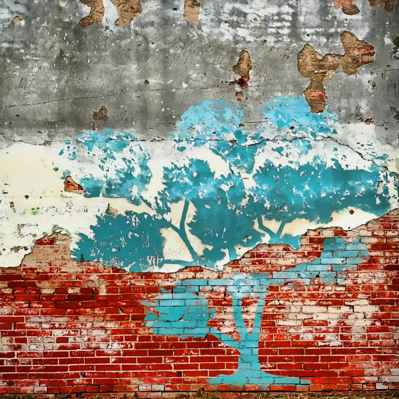 Tree Grows In The City 10’X10’ Ultracloth (120 X Inch) Backdrop