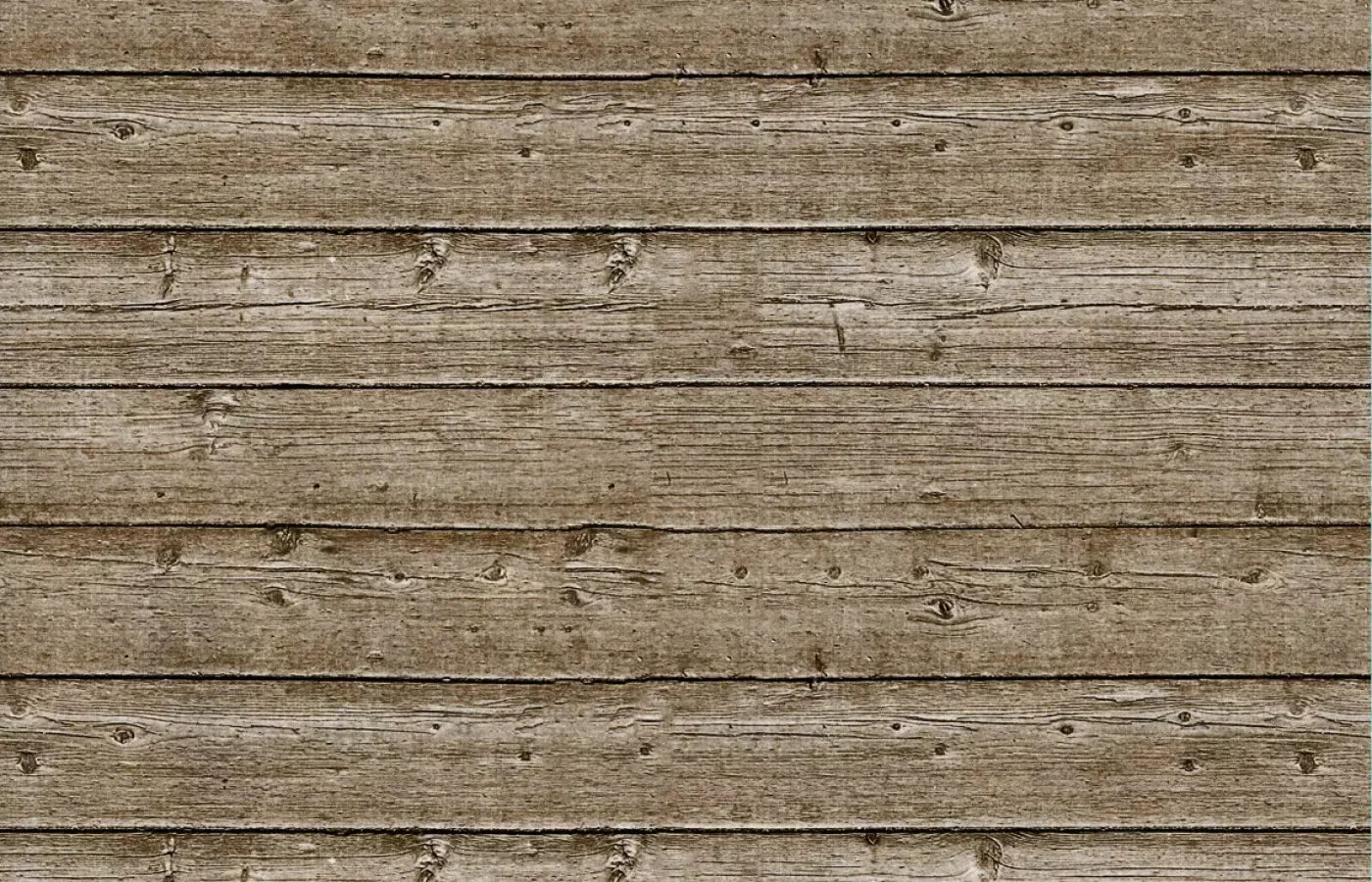 Treehouse 12’X8’ Ultracloth (144 X 96 Inch) Backdrop