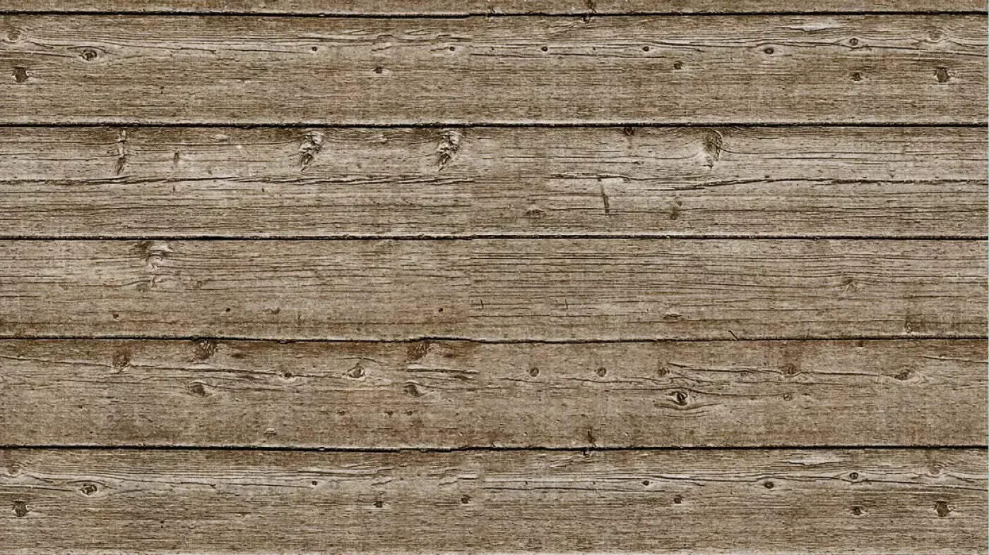 Treehouse 14’X8’ Ultracloth (168 X 96 Inch) Backdrop