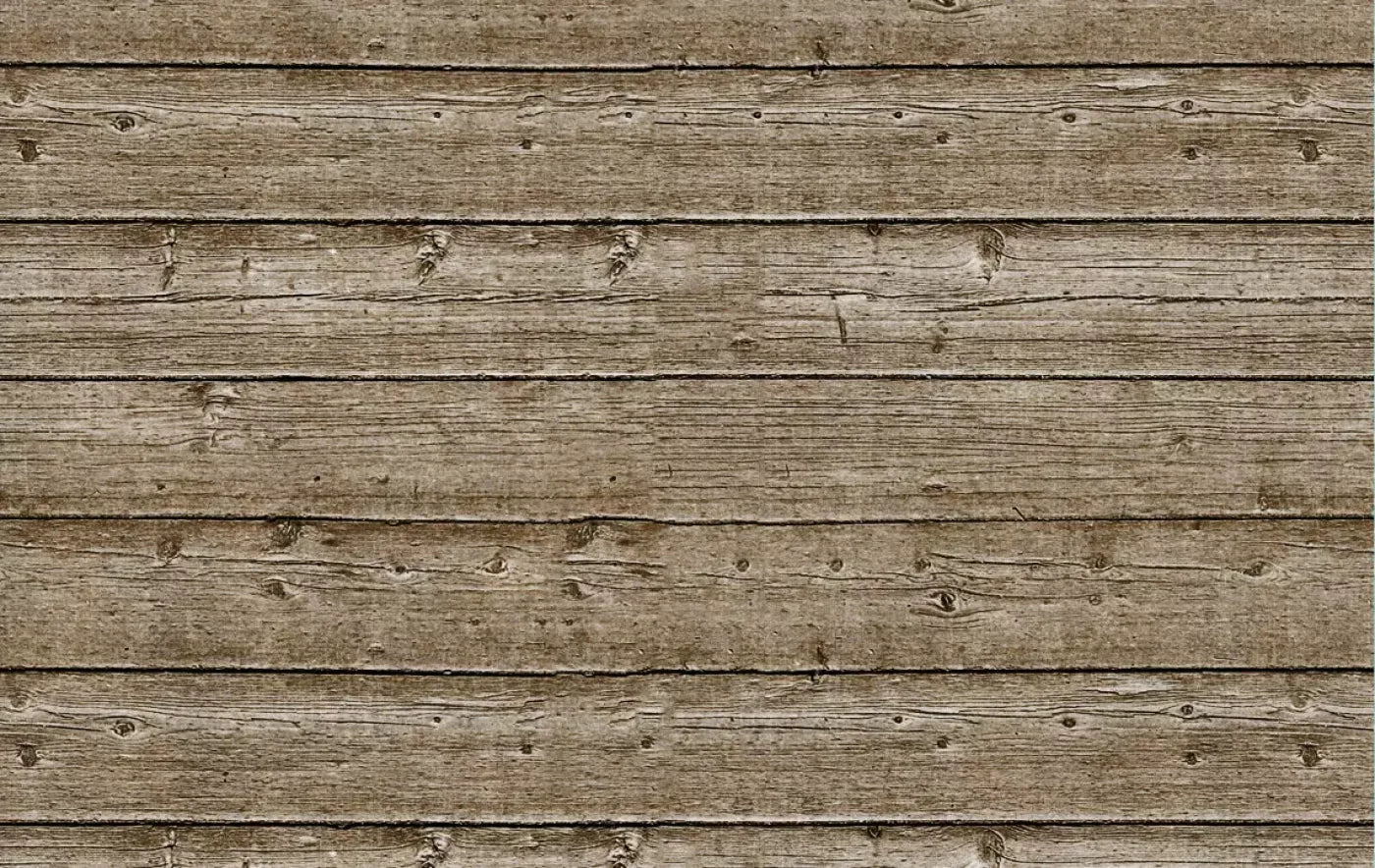 Treehouse 16’X10’ Ultracloth (192 X 120 Inch) Backdrop