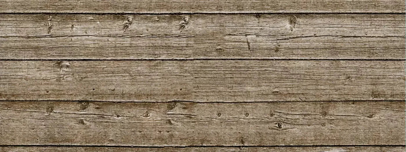 Treehouse 20’X8’ Ultracloth (240 X 96 Inch) Backdrop