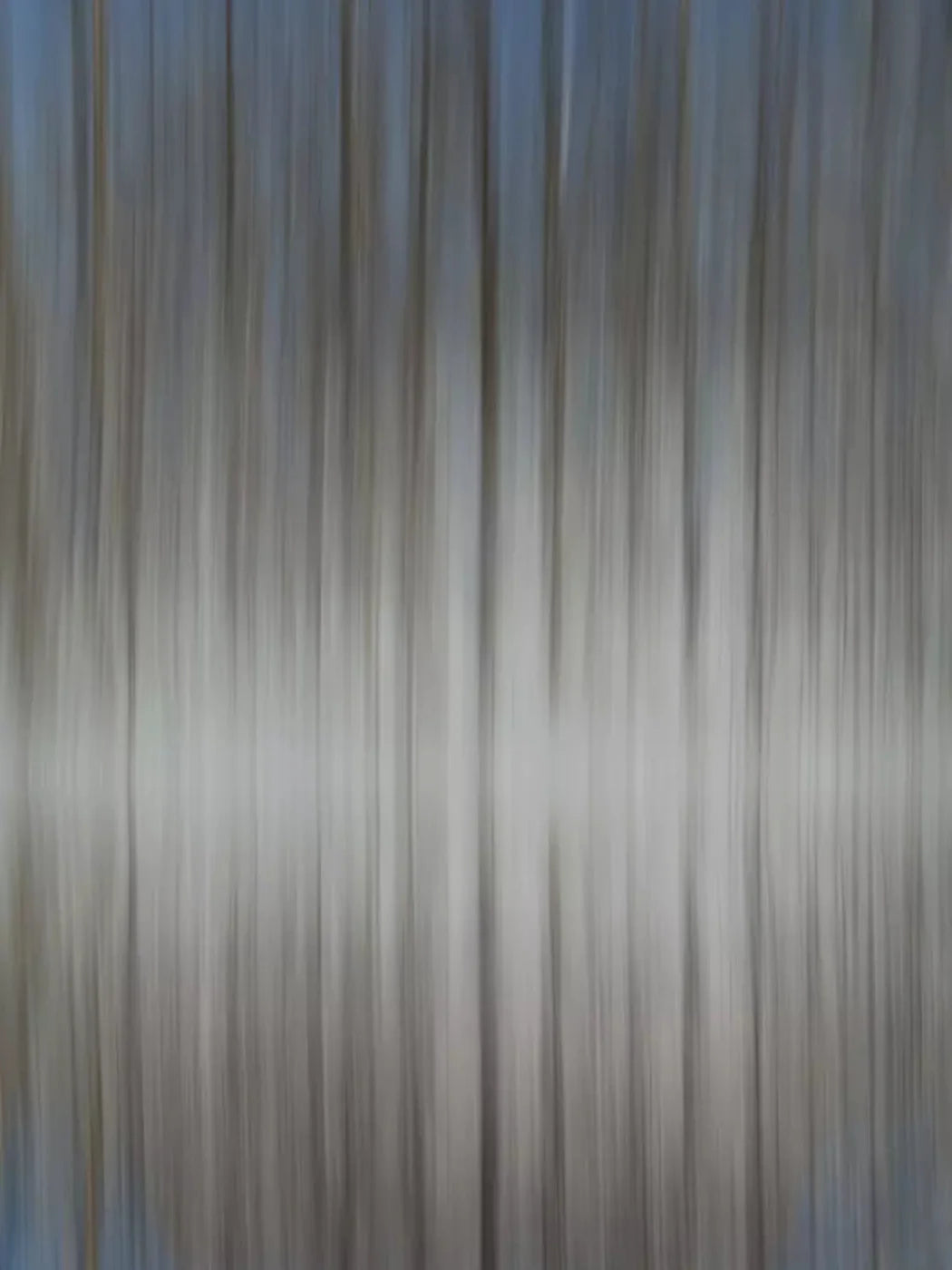 Trees 5X68 Fleece ( 60 X 80 Inch ) Backdrop