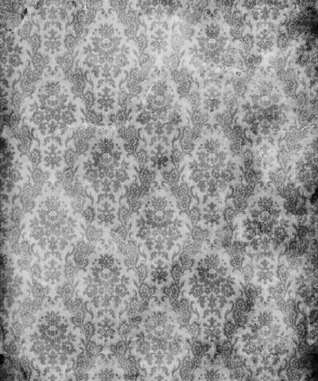 Gray Damask Backdrop for Photography