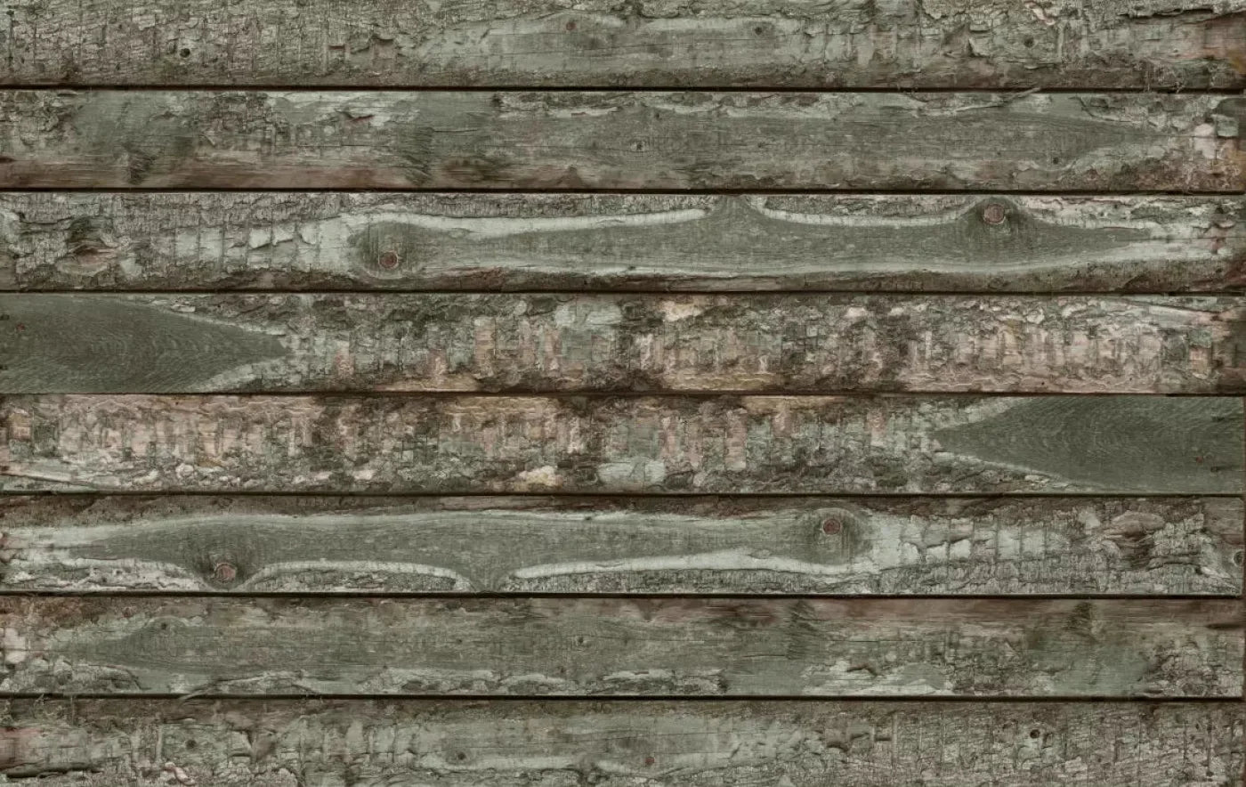 Trever 16X10 Ultracloth ( 192 X 120 Inch ) Backdrop