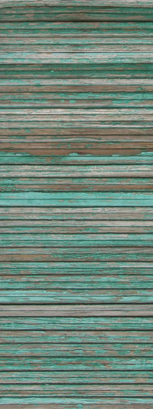 Trouble 8X20 Ultracloth ( 96 X 240 Inch ) Backdrop