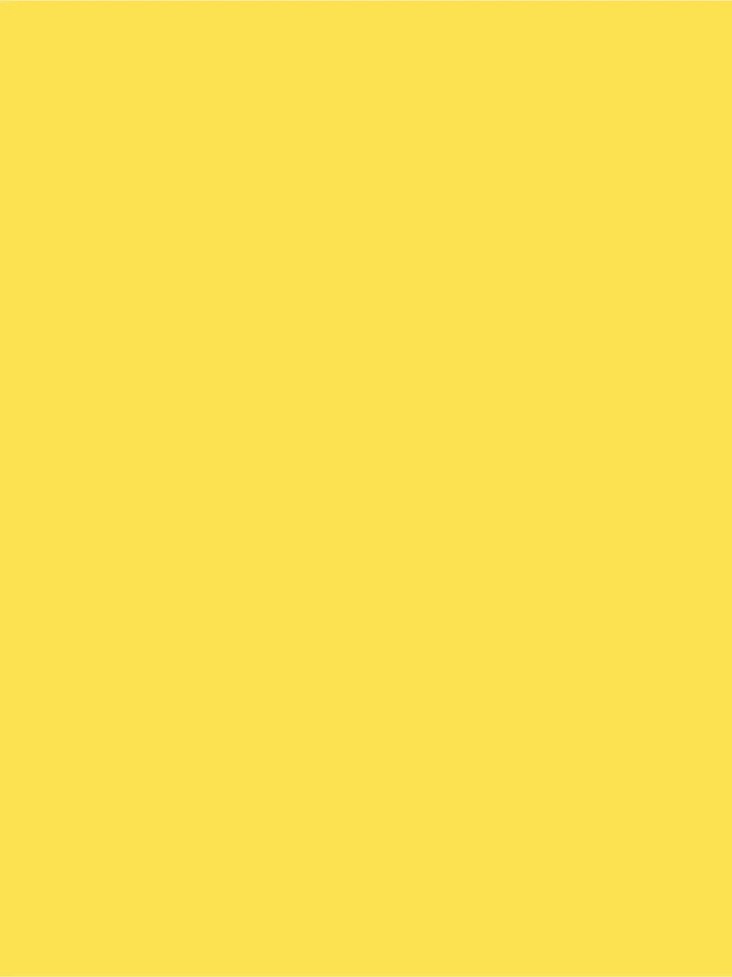 Tweety 8X10 Ultracloth ( 96 X 120 Inch ) Backdrop